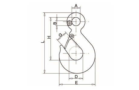 Specifications of Lifting Eye Hook with Latch DIN689