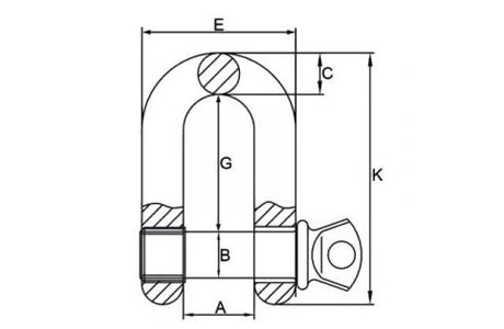 Specifications of Stainless Steel Forged Chain Shackle Oversized Screw Pin-China LG™
