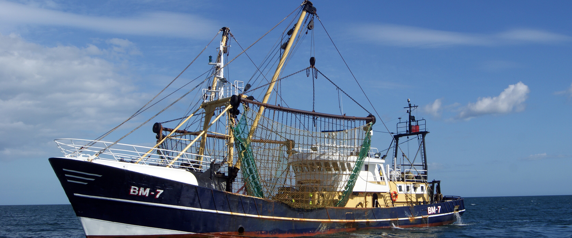 Trawling Chain