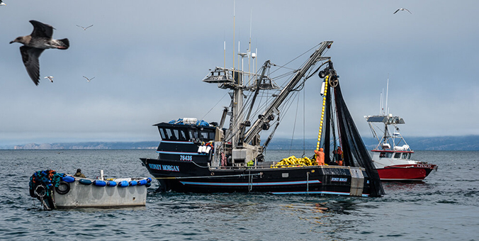 LG RIGGING® Lifting And Rigging Equipment Apply In Commercial Fishing & Trawling