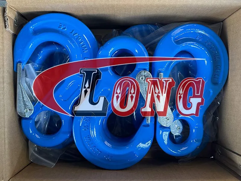 g100-eye-sling-hook-with-latch-lg-rigging®