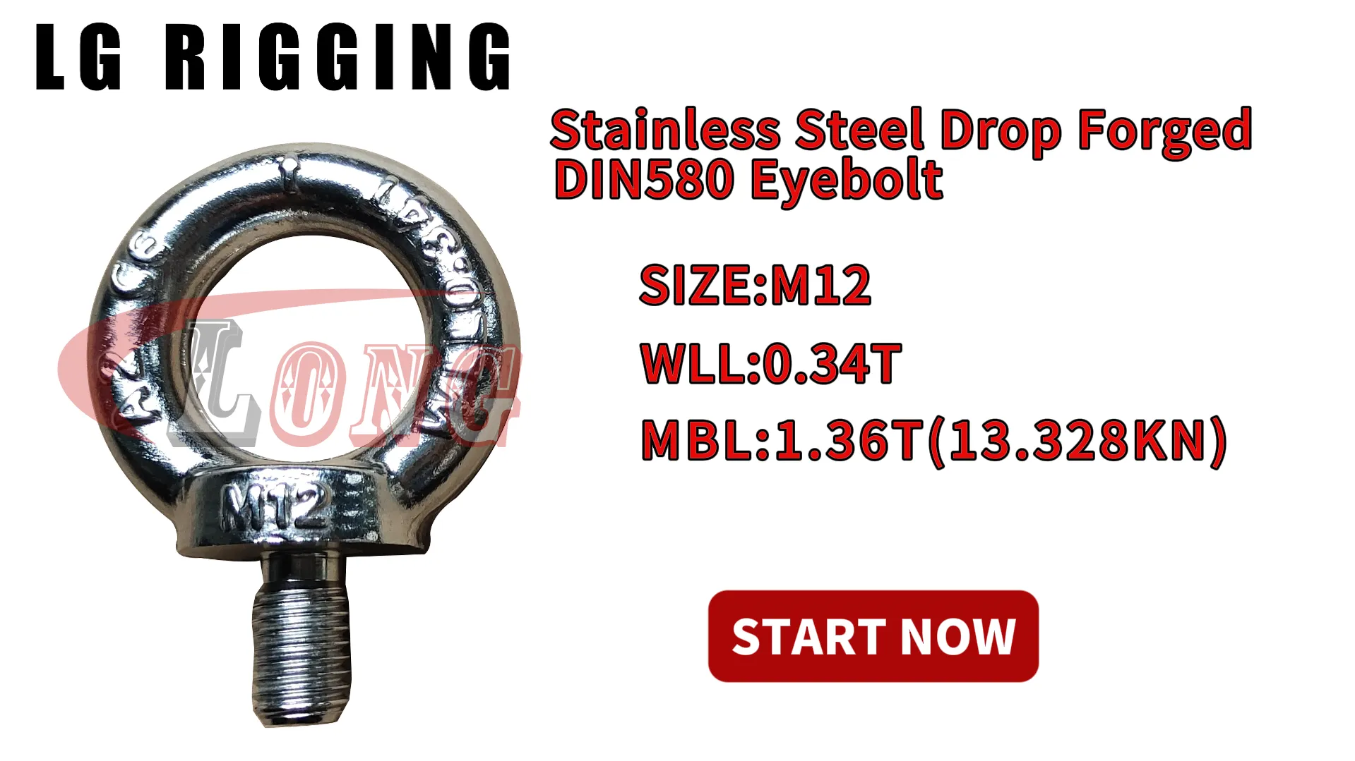 LGRIG® Break Test M12 Stainless Steel Drop Forged DIN580 Eyebolt