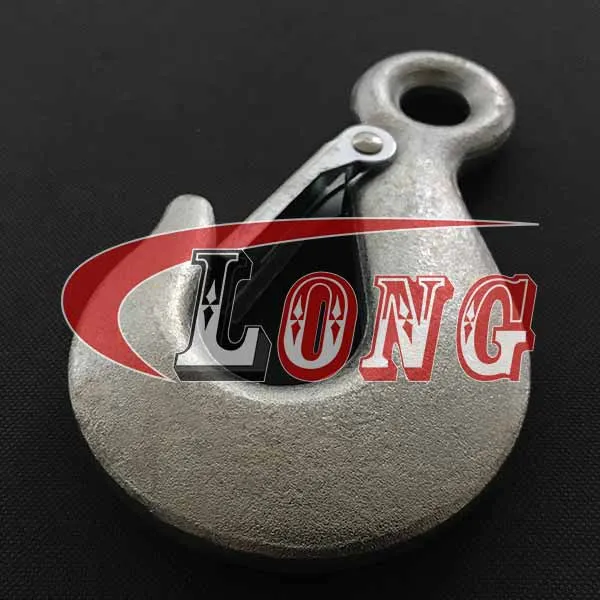 LGRIG® Lifting Eye Hook with Latch DIN689