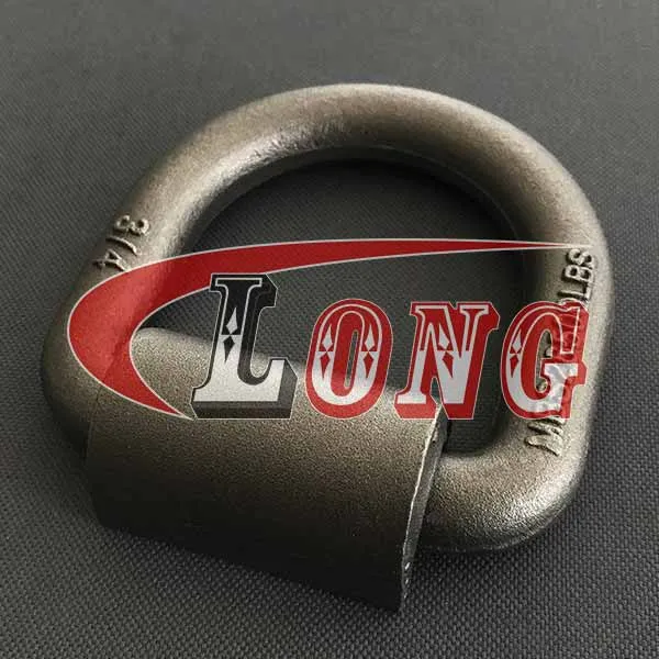 LGRIG® Weld On D-Ring with Mounting Clip